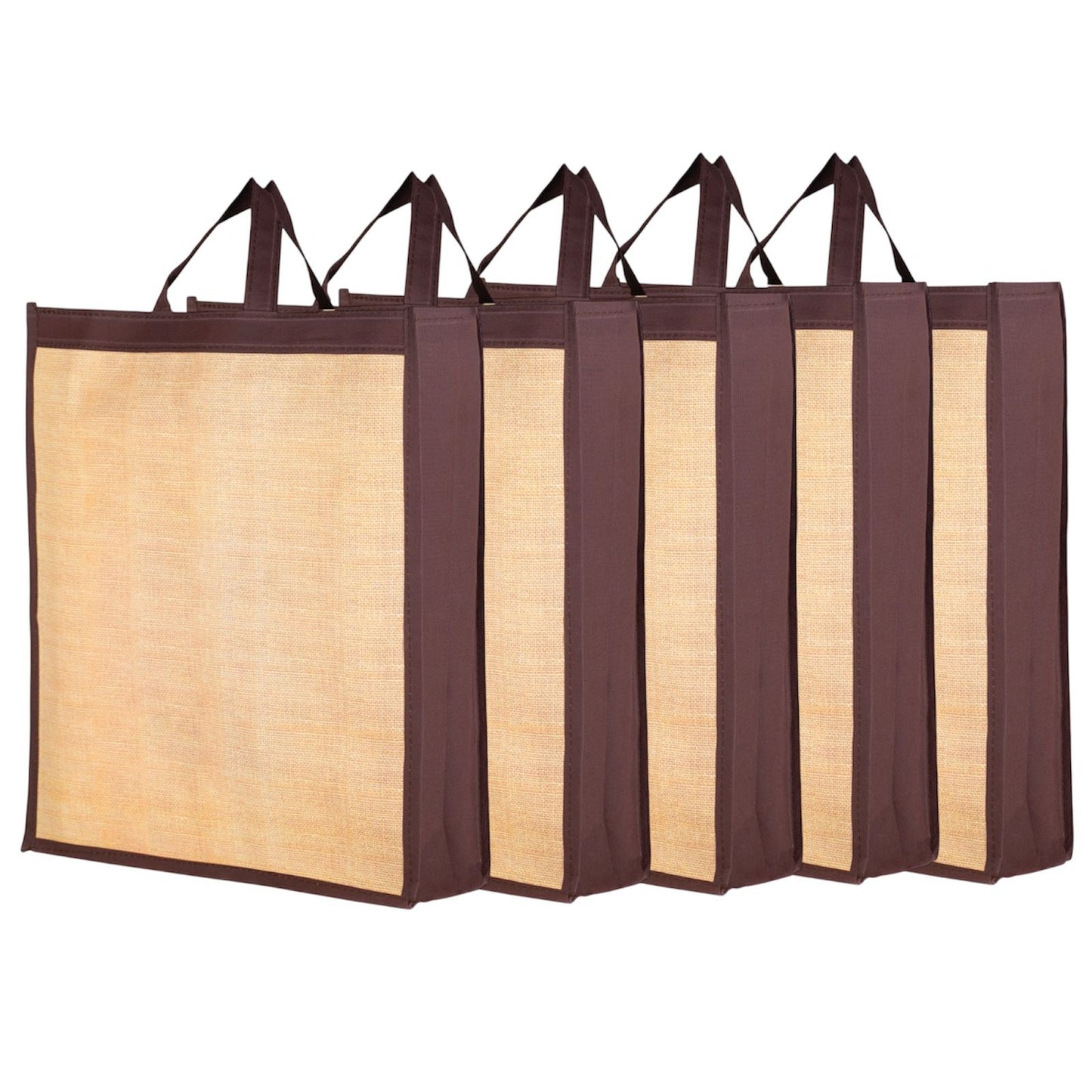 Etchvara Reusable Gift Bags with Matte Finish | Pack of 5 (17.5x15.5x5 inches)